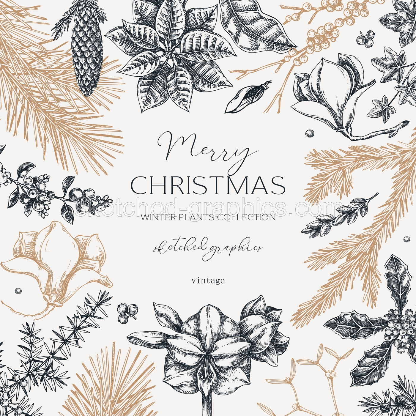 Vintage Christams card template. Winter holiday frame design. Conifer trees, winter flowers sketches. Hand-drawn botanical illustration. NOT AI generated Illustration